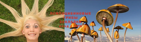 ГАЛЛЮЦИНОГЕННЫЕ ГРИБЫ Алексин