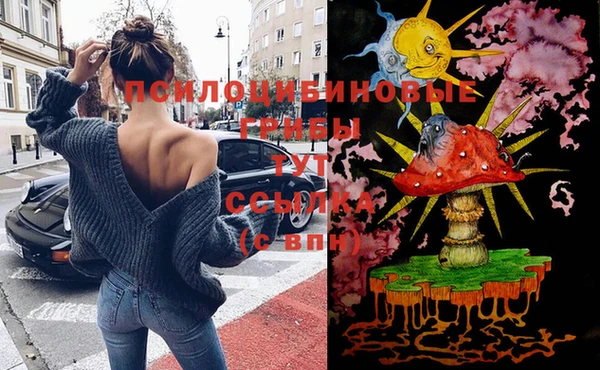 ГАЛЛЮЦИНОГЕННЫЕ ГРИБЫ Алексин