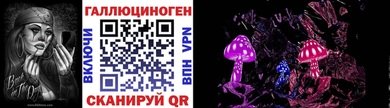 магазин    Сосновка  Псилоцибиновые грибы GOLDEN TEACHER 